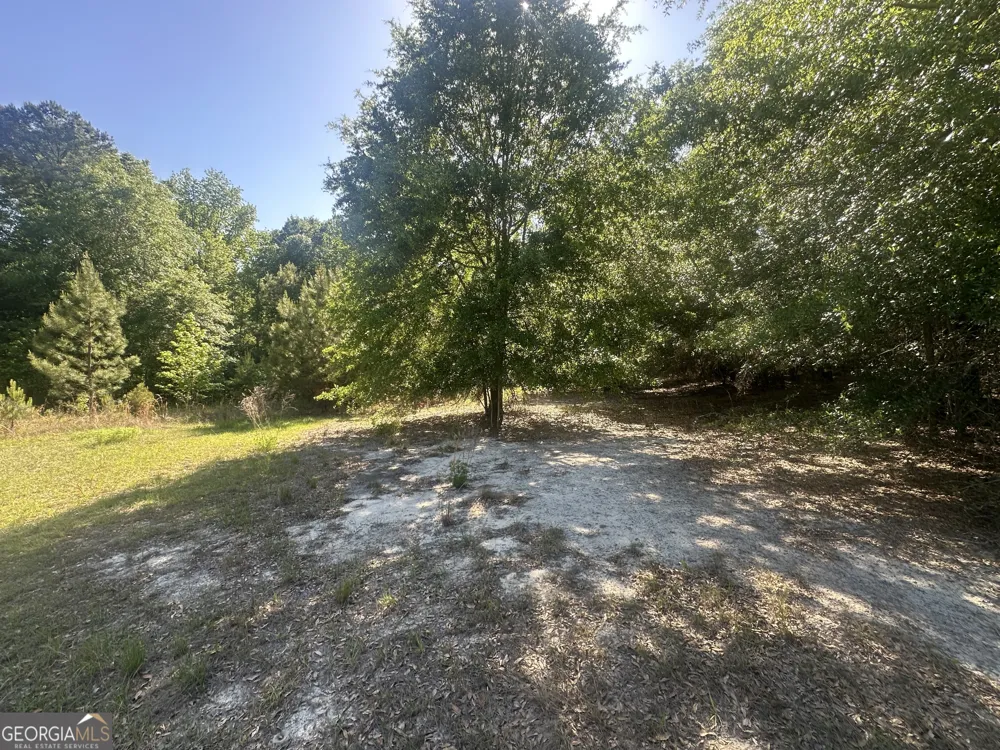 0 Burtons Ferry HWY Sylvania, GA 30467