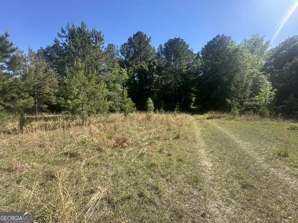 0 Burtons Ferry HWY Sylvania, GA 30467
