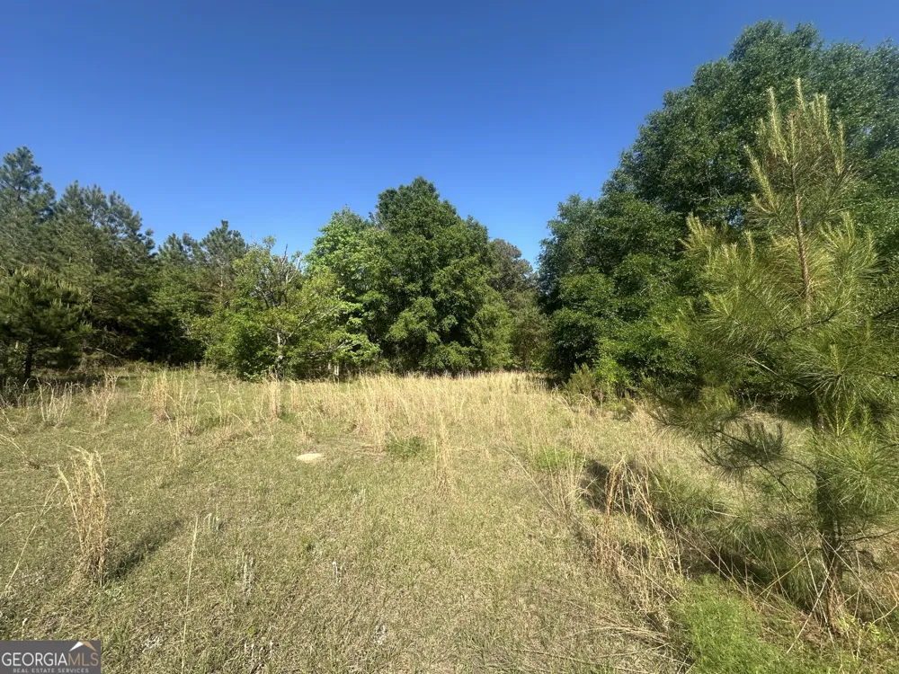 0 Burtons Ferry HWY Sylvania, GA 30467