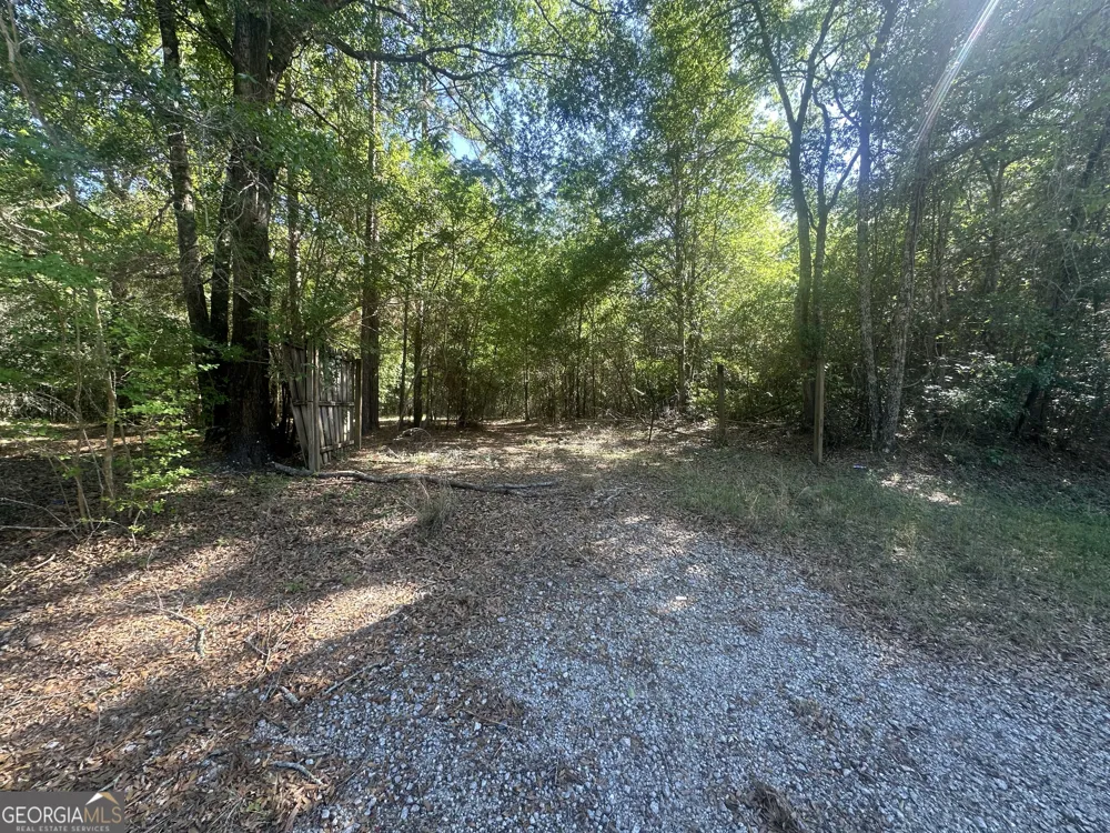 0 Burtons Ferry HWY Sylvania, GA 30467