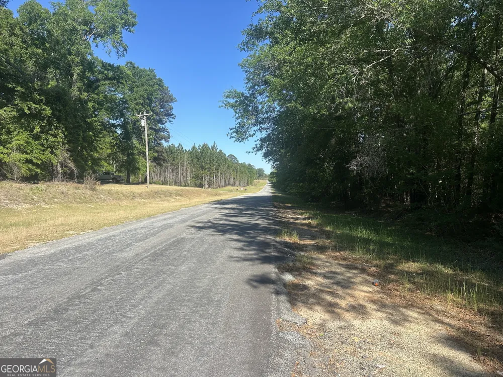 0 Burtons Ferry HWY Sylvania, GA 30467
