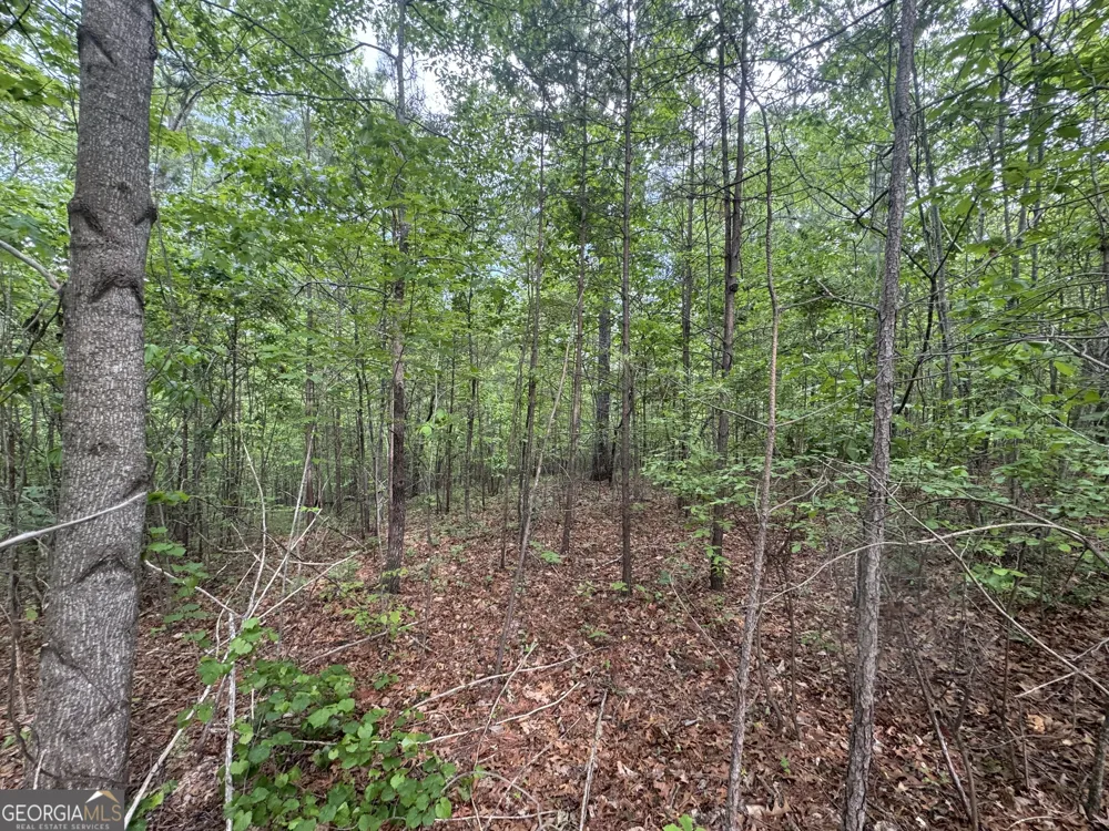 1786 Jones Mountain RD Jasper, GA 30143