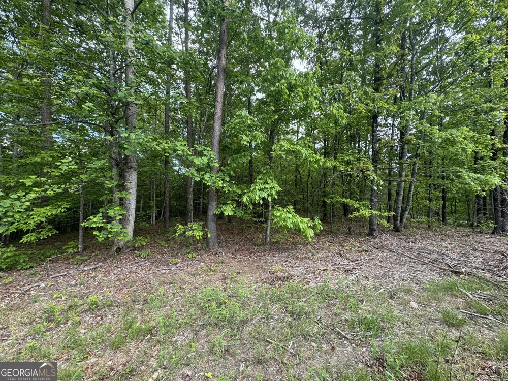 1786 Jones Mountain RD Jasper, GA 30143