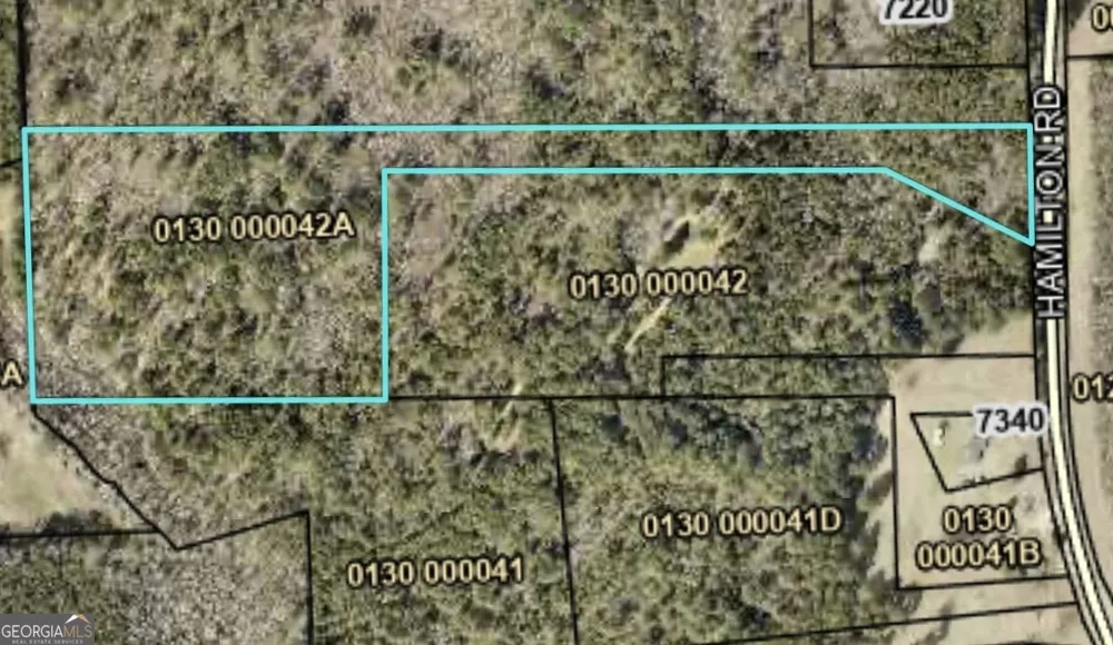 0 Hamilton RD Pine Mountain, GA 31822