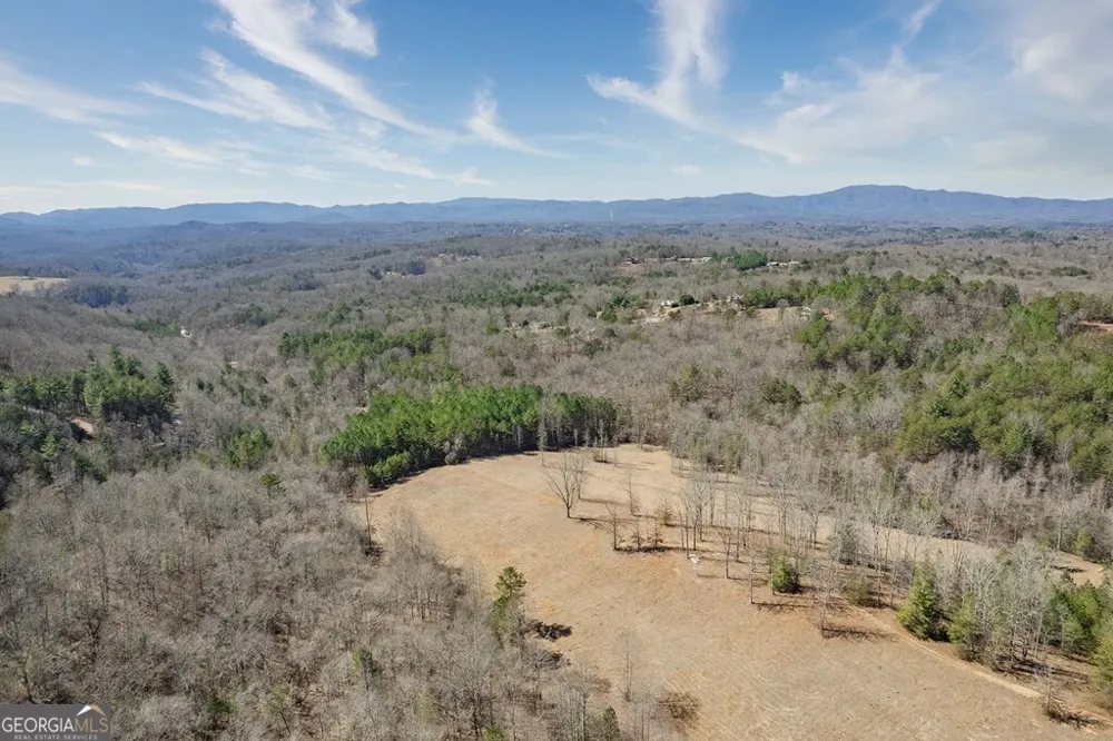 560 Endless View RD Mineral Bluff, GA 30559
