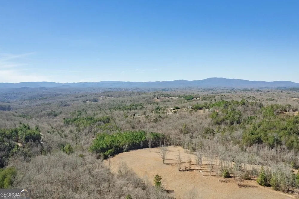 560 Endless View RD Mineral Bluff, GA 30559