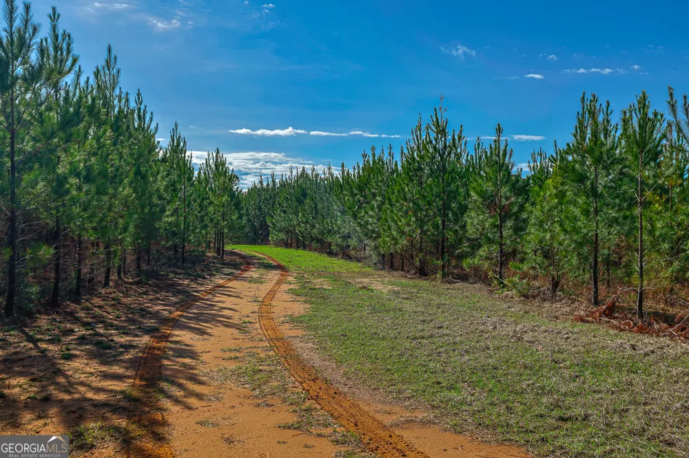 0 Island Creek RD Sparta, GA 31087
