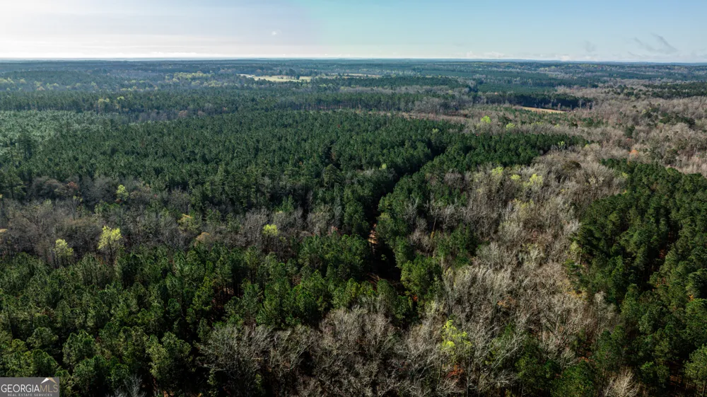 0 Island Creek RD Sparta, GA 31087