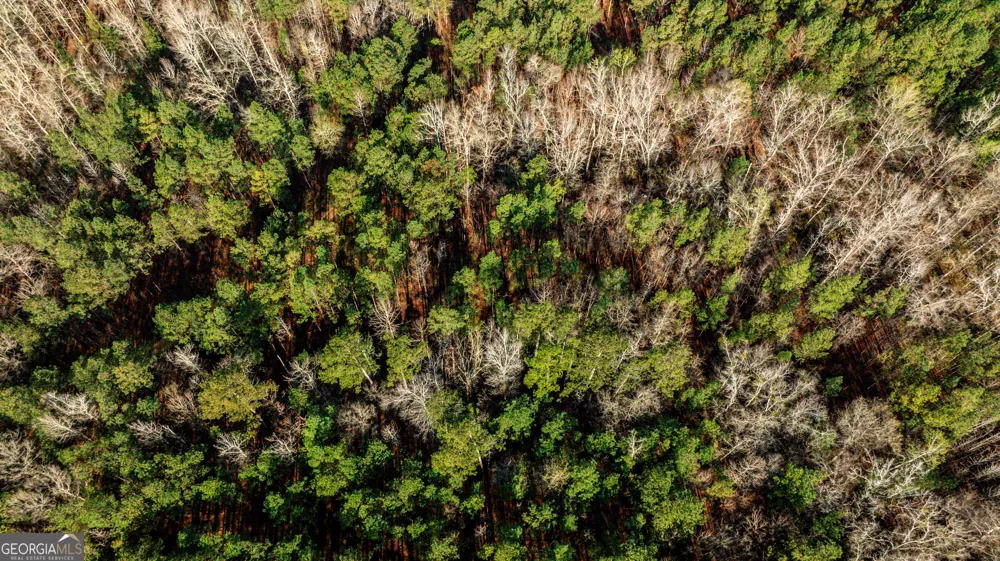 0 Island Creek RD Sparta, GA 31087