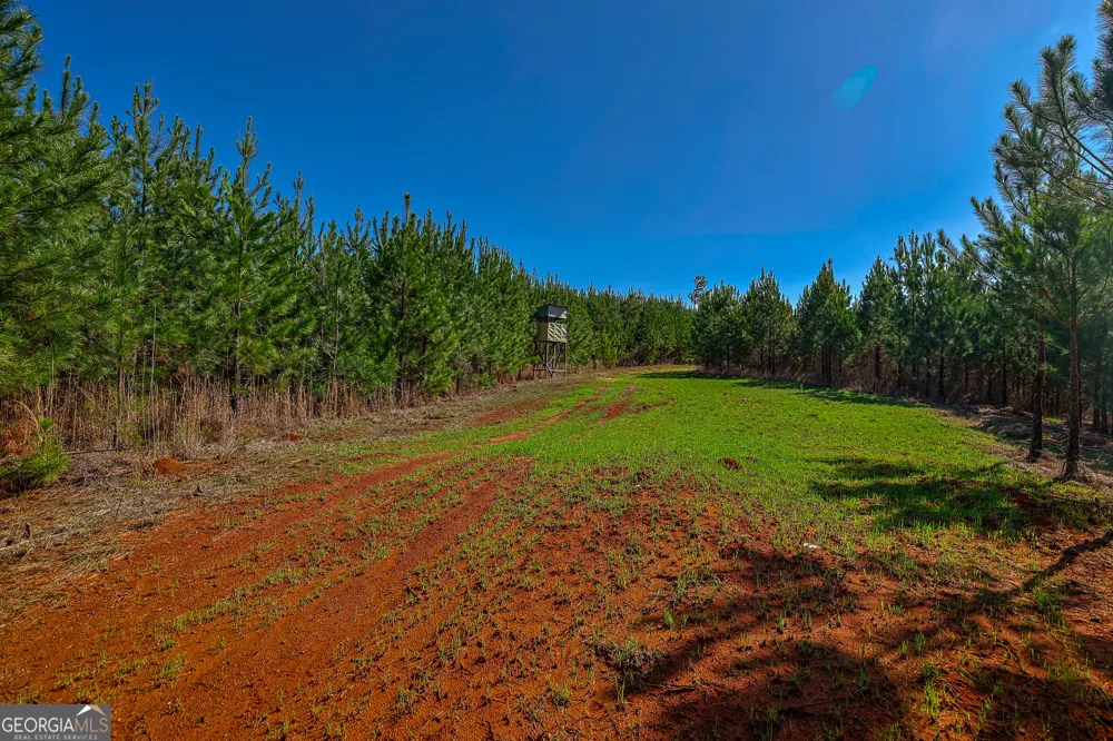 0 Island Creek RD Sparta, GA 31087
