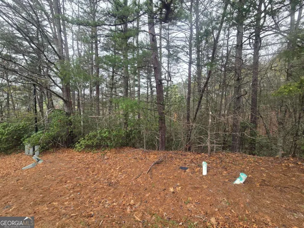 35 Vienna Ring Helen, GA 30545