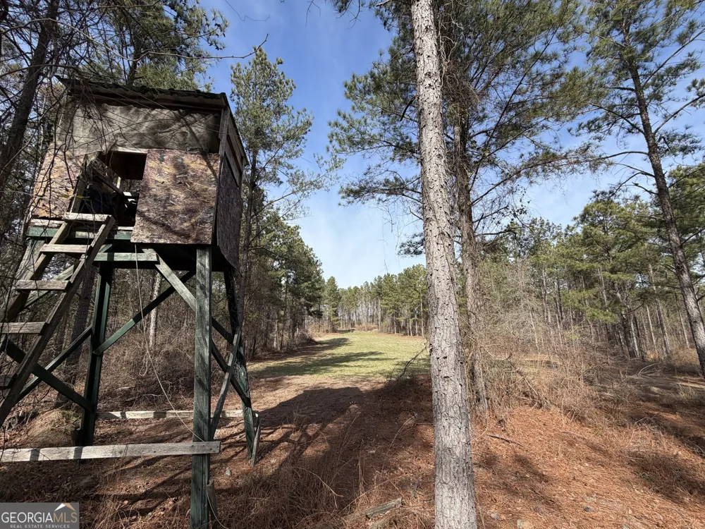 250 Linton RD Milledgeville, GA 31061