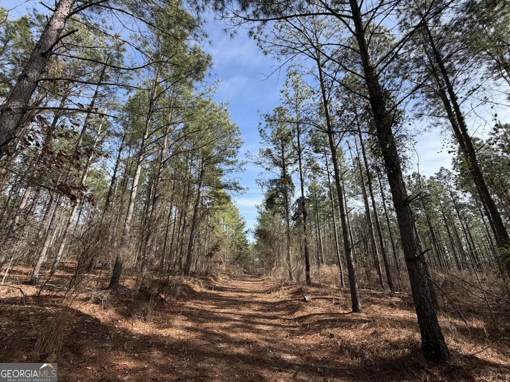 250 Linton RD Milledgeville, GA 31061