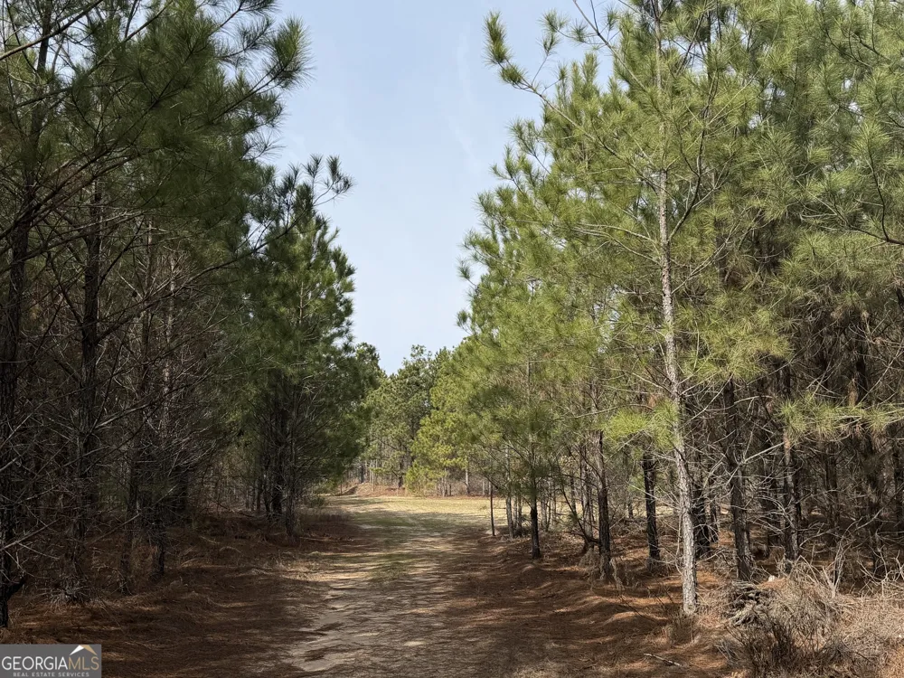 250 Linton RD Milledgeville, GA 31061