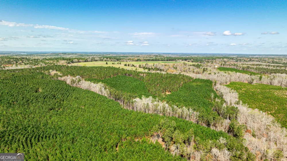 250 Linton RD Milledgeville, GA 31061