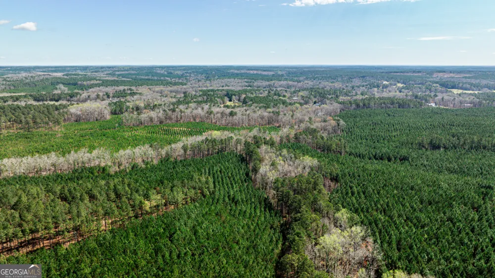 250 Linton RD Milledgeville, GA 31061