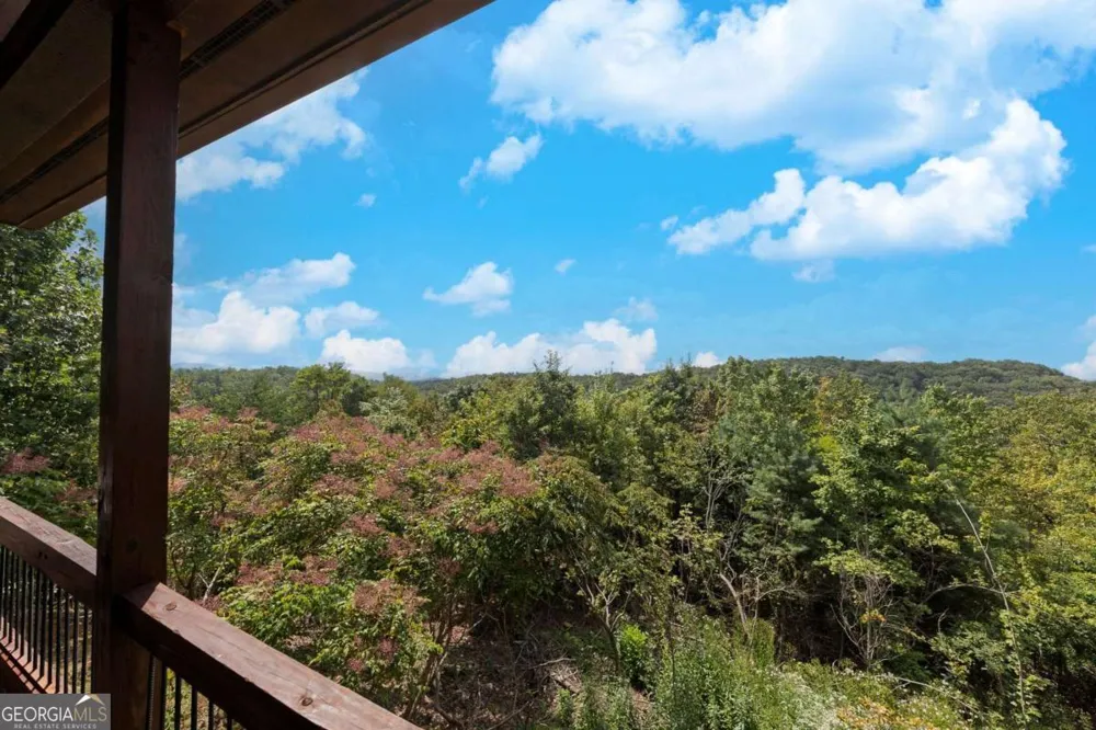 499 Raven Ridge CIR Mineral Bluff, GA 30559