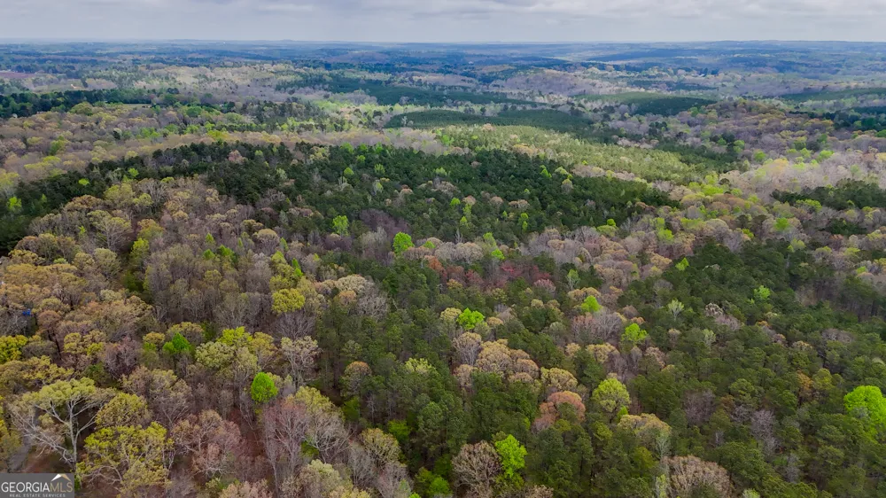 78 ACRES Cross Plains RD Carrollton, GA 30116