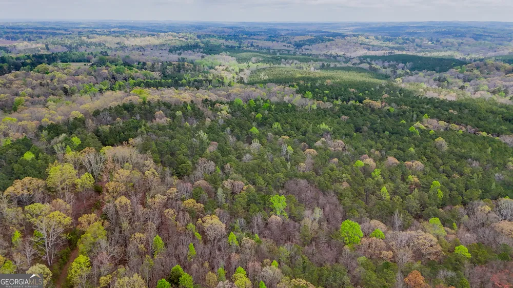 78 ACRES Cross Plains RD Carrollton, GA 30116