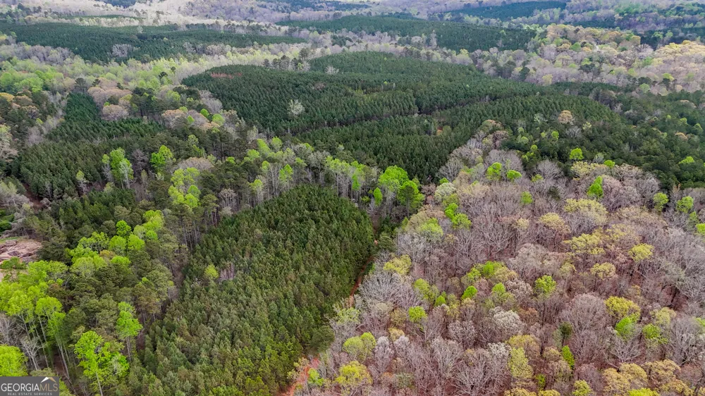 78 ACRES Cross Plains RD Carrollton, GA 30116