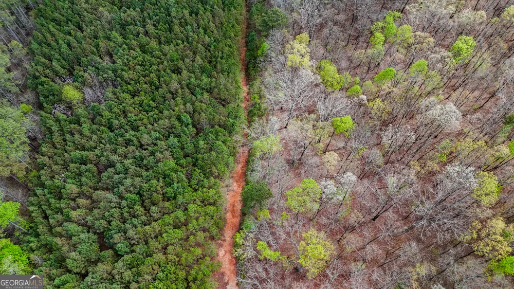 78 ACRES Cross Plains RD Carrollton, GA 30116