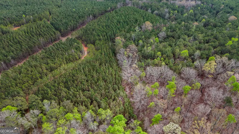 78 ACRES Cross Plains RD Carrollton, GA 30116