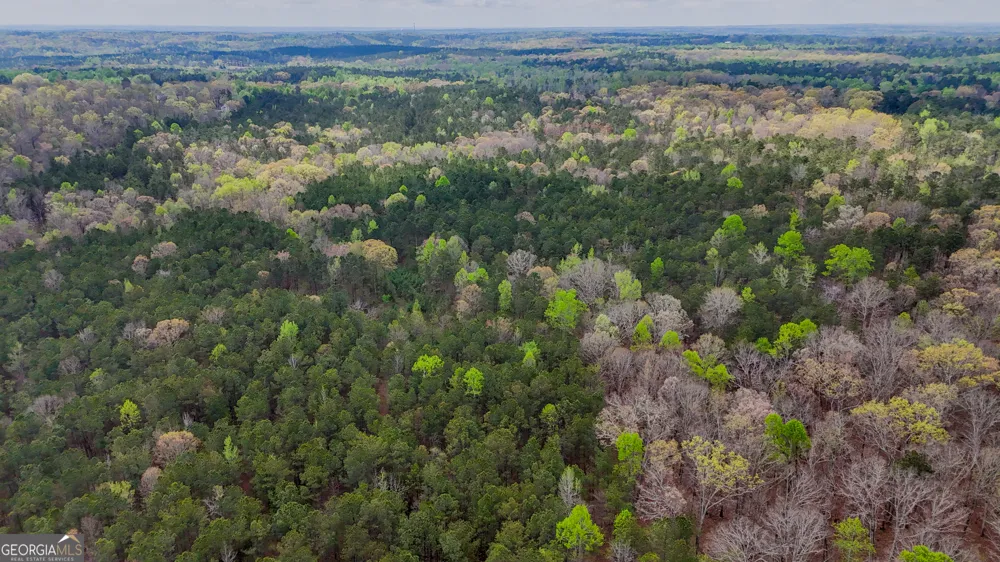 78 ACRES Cross Plains RD Carrollton, GA 30116
