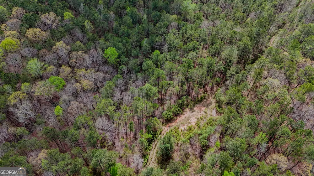 78 ACRES Cross Plains RD Carrollton, GA 30116