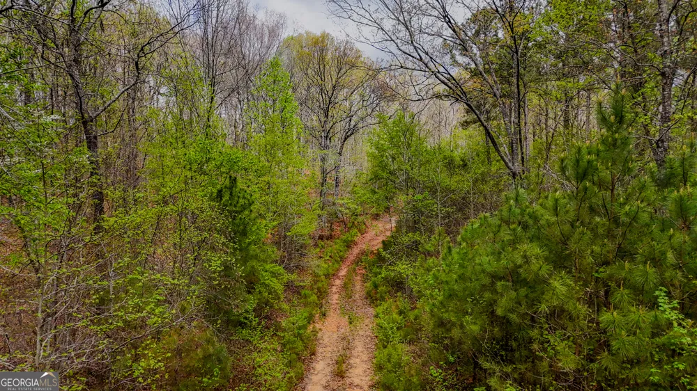 78 ACRES Cross Plains RD Carrollton, GA 30116