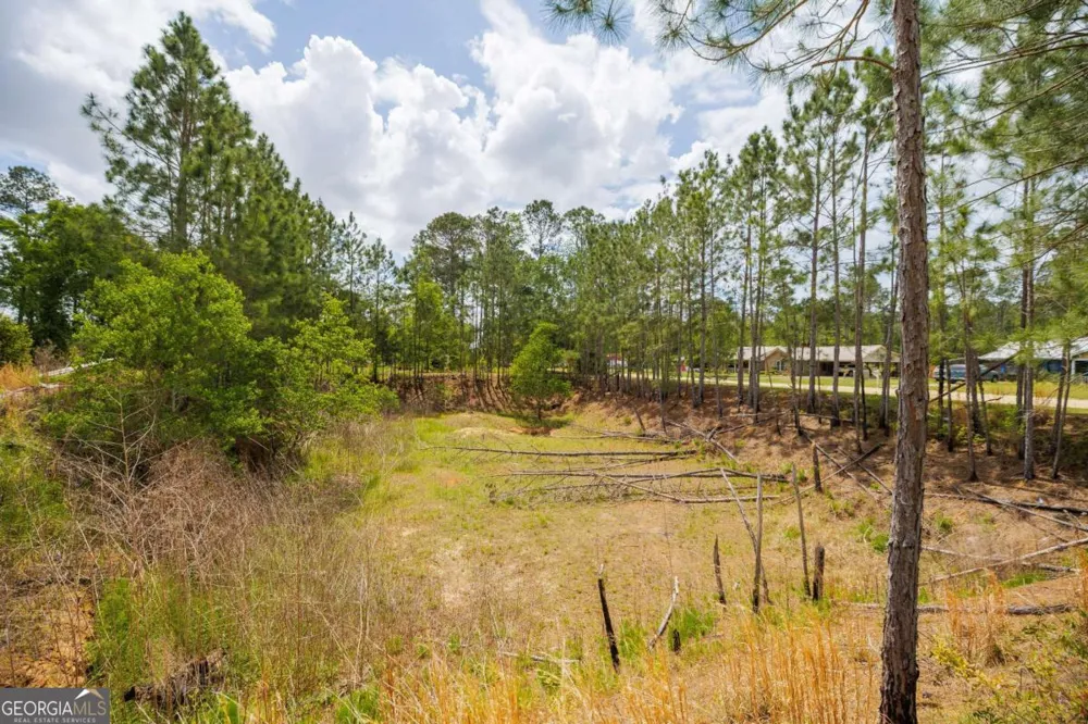 187 Jefferson RD Adel, GA 31620