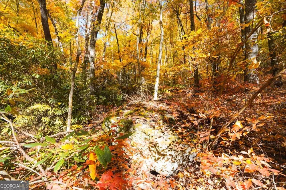 0 Bald Mountain Dillard, GA 30537