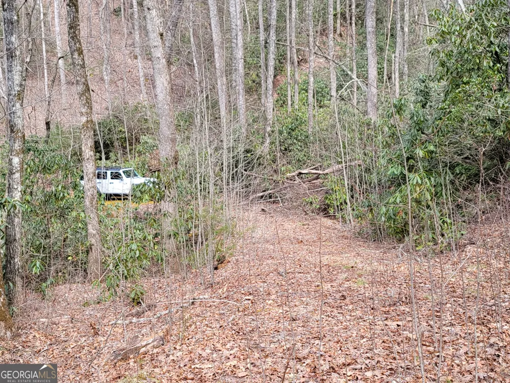 0 Bald Mountain Dillard, GA 30537