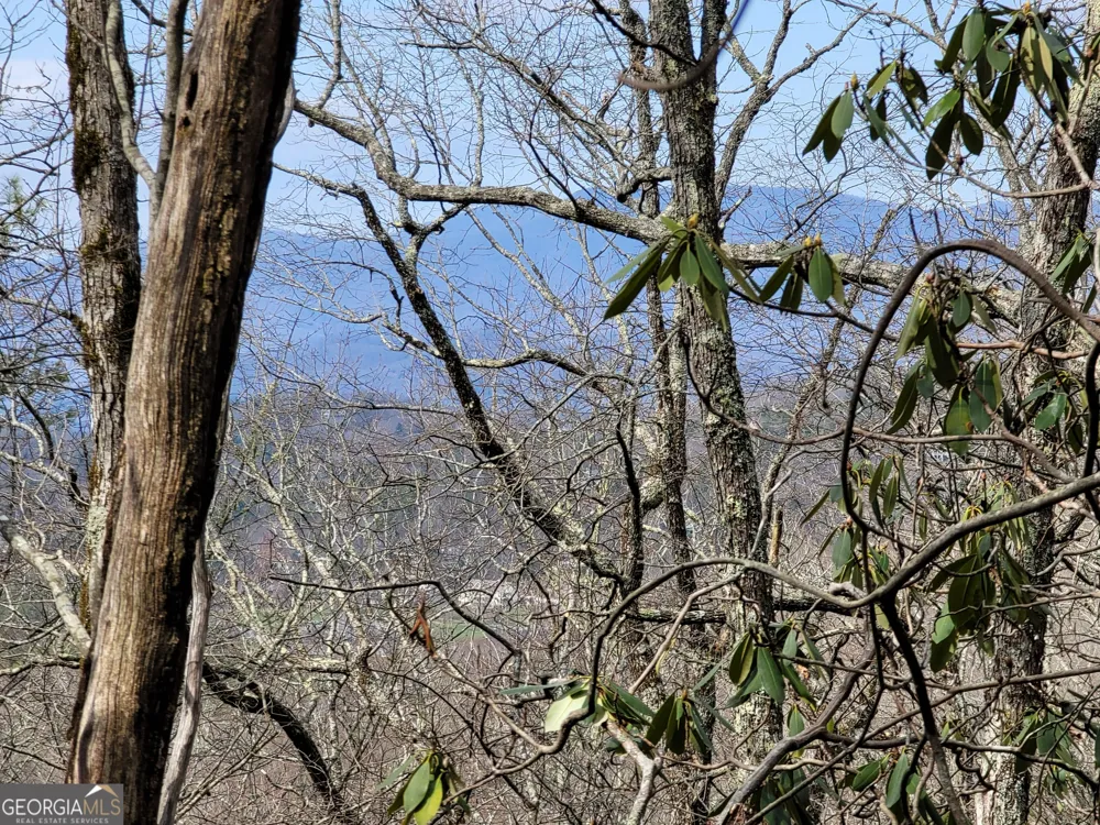 0 Bald Mountain Dillard, GA 30537