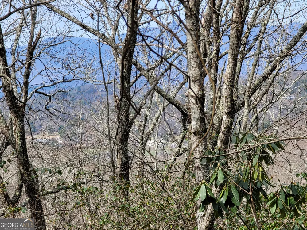 0 Bald Mountain Dillard, GA 30537