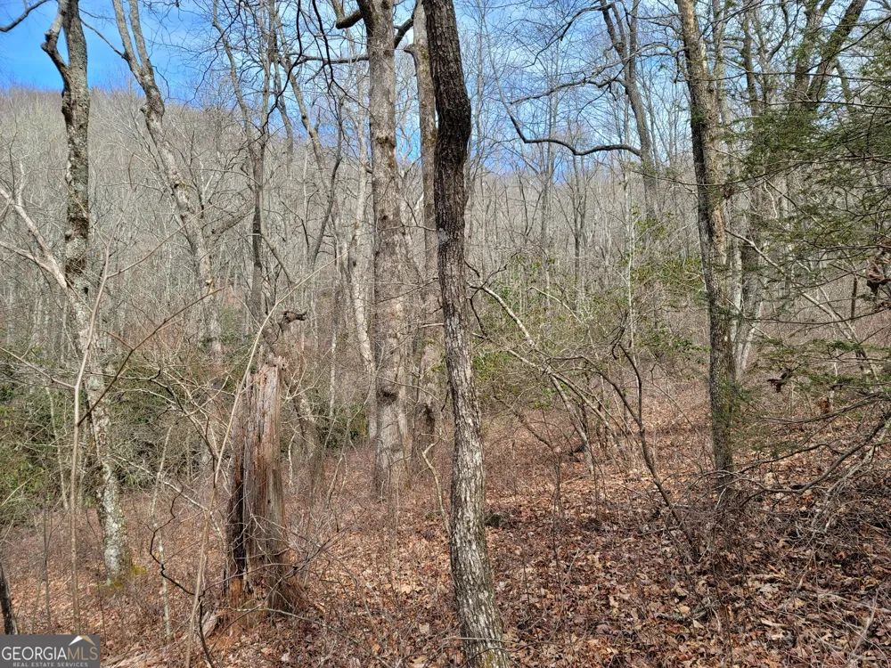 0 Bald Mountain Dillard, GA 30537