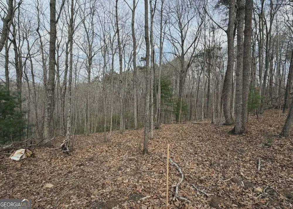 TRACT B2 Mountain RDG Blue Ridge, GA 30513