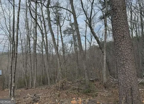 TRACT B2 Mountain RDG