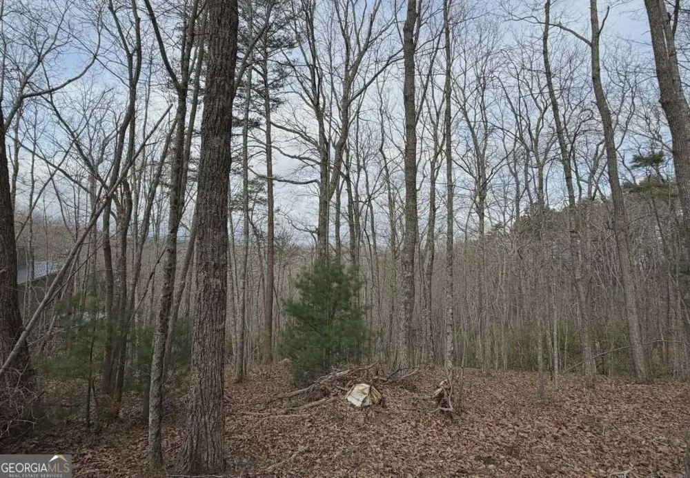 TRACT B2 Mountain RDG Blue Ridge, GA 30513
