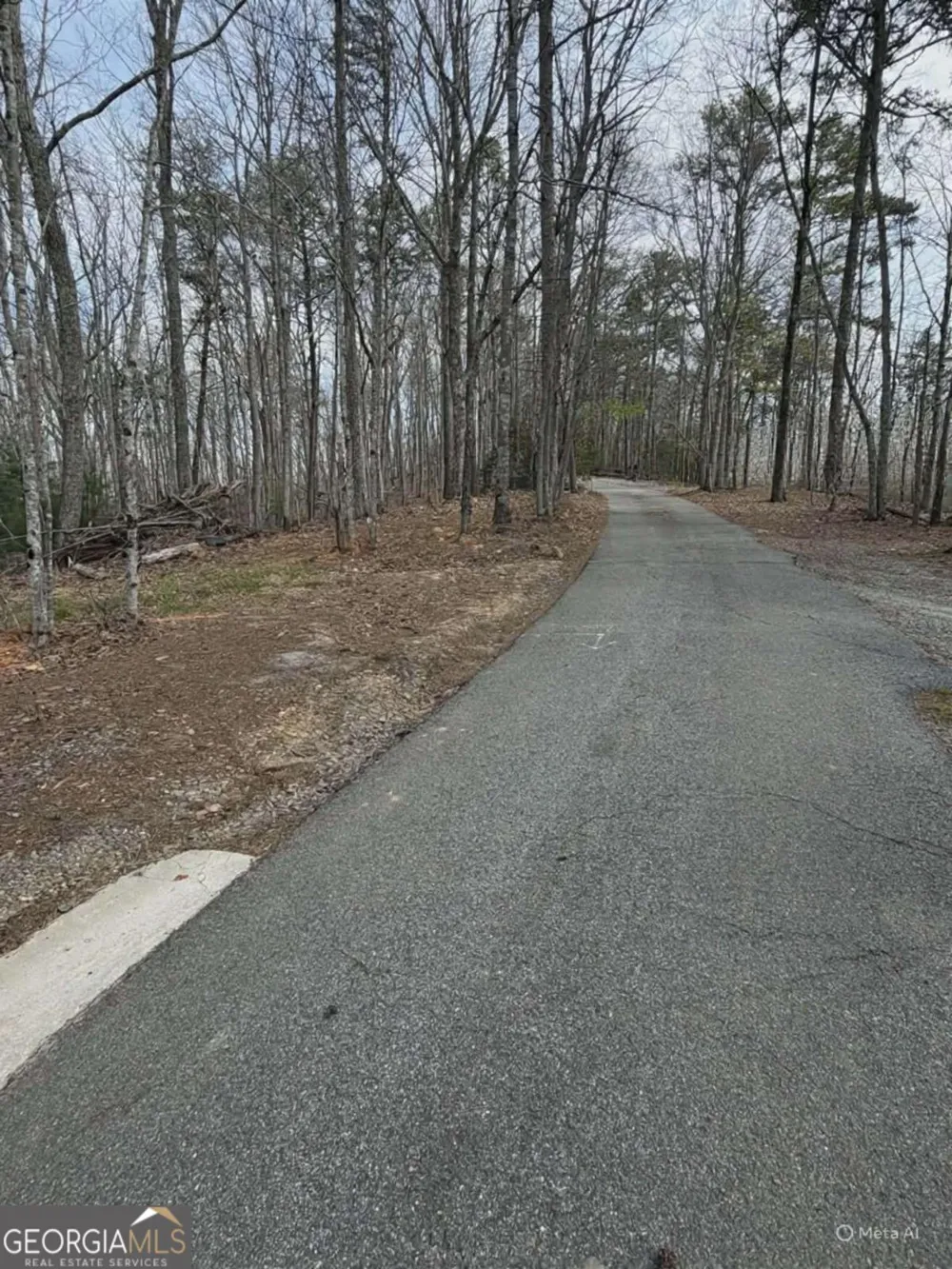 TRACT B2 Mountain RDG Blue Ridge, GA 30513