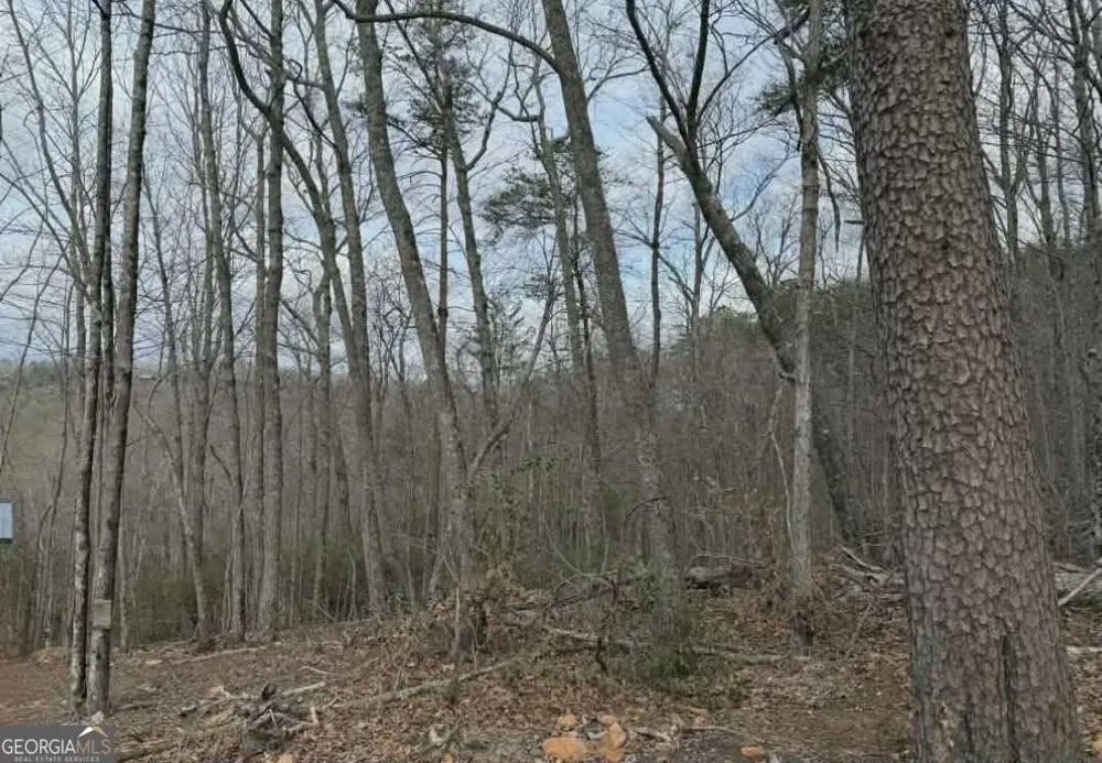 TRACT B2 Mountain RDG Blue Ridge, GA 30513