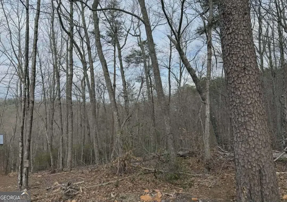 TRACT B2 Mountain RDG Blue Ridge, GA 30513