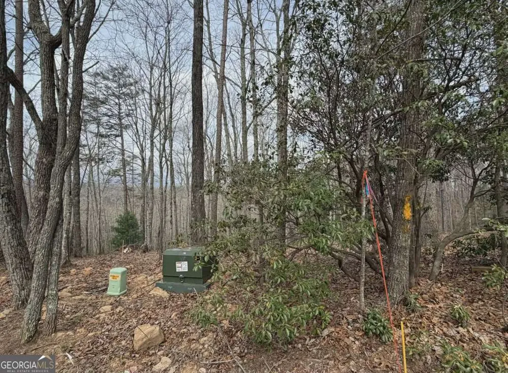 TRACT B2 Mountain RDG Blue Ridge, GA 30513