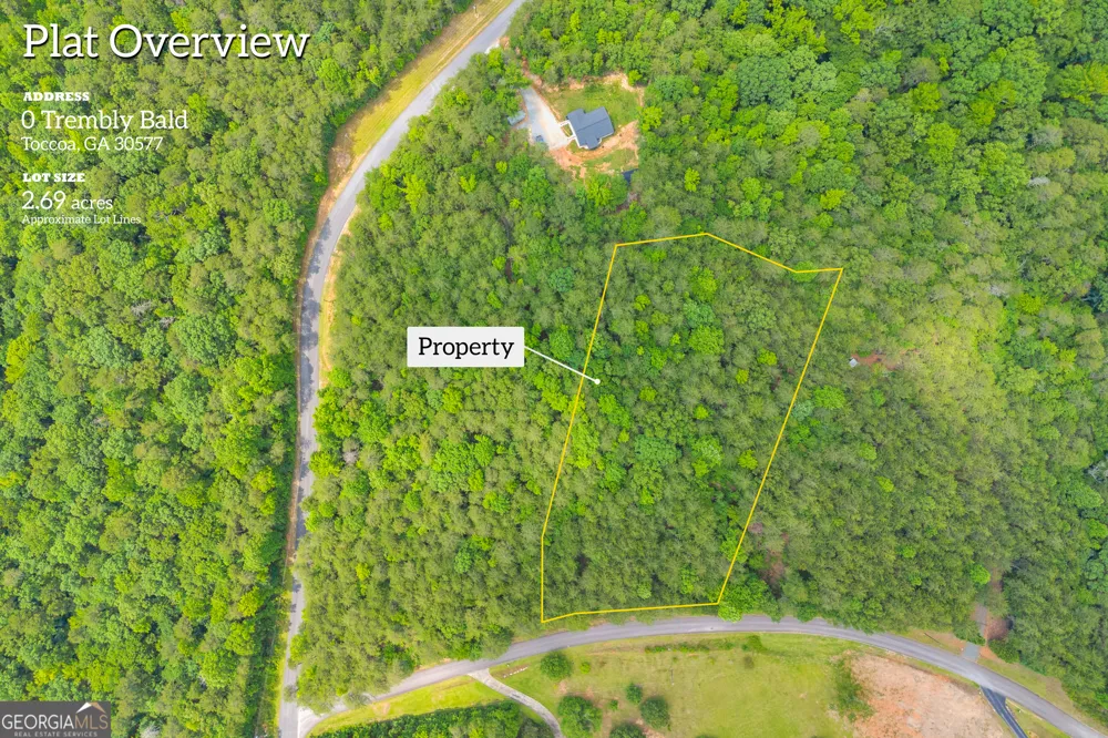 0 Trembly Bald RD Toccoa, GA 30577