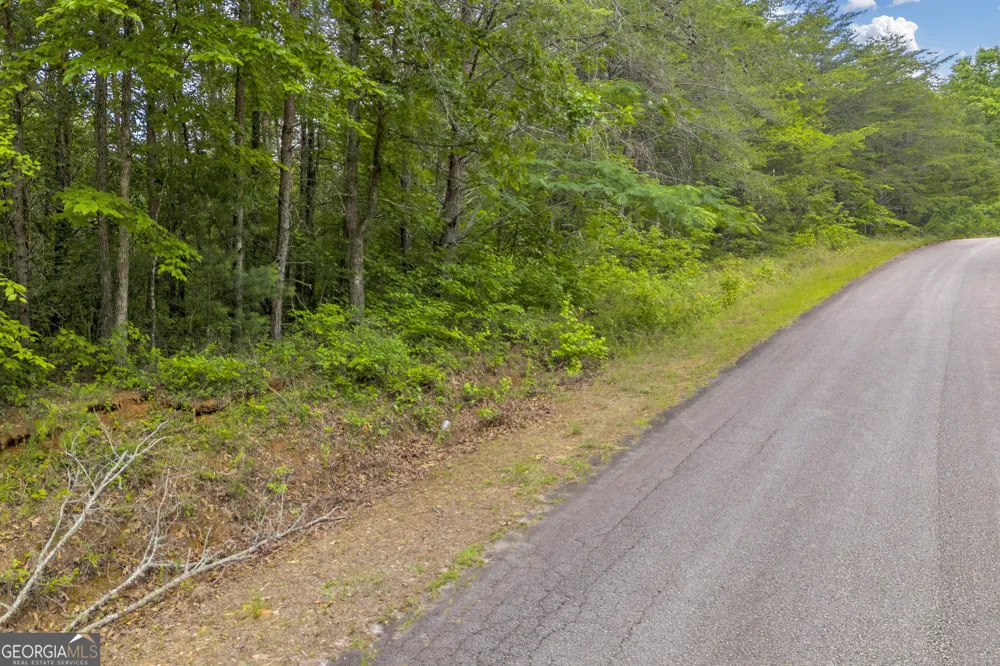 0 Trembly Bald RD Toccoa, GA 30577