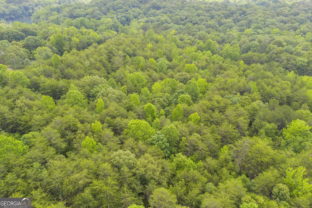 0 Trembly Bald RD Toccoa, GA 30577