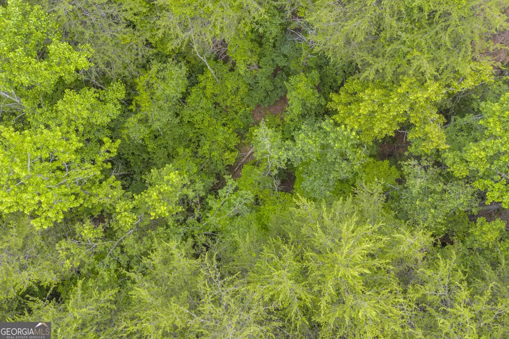 0 Trembly Bald RD Toccoa, GA 30577