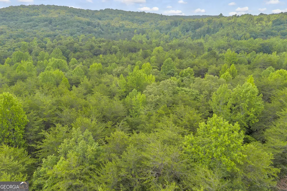 0 Trembly Bald RD Toccoa, GA 30577