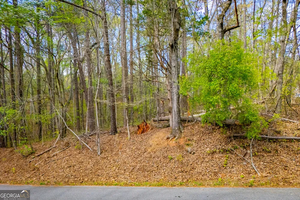 6156 Belle Meade DR Villa Rica, GA 30180