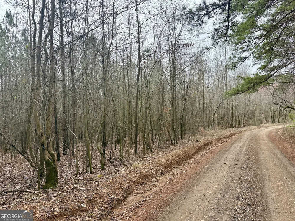 0 county road 670 Ranburne, AL 36273