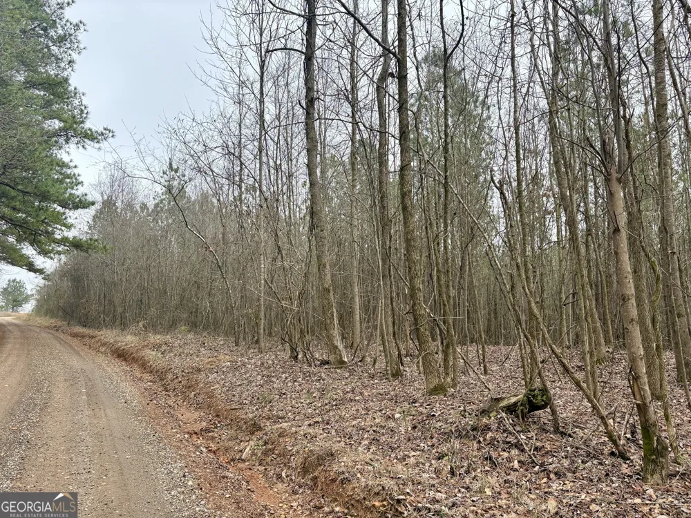 0 county road 670 Ranburne, AL 36273